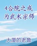 4合院之成为武术宗师