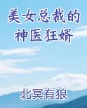 美女总裁的神医狂婿