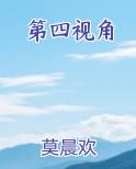 第四视角番外
